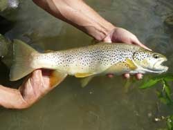 Nieuwsafbeelding - klik om de volledige afbeelding te bekijken